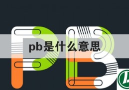 pb是什么意思(pb是什么意思饭圈)