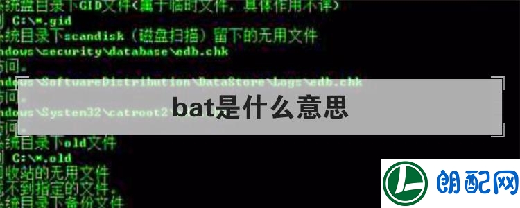 bat是什么意思